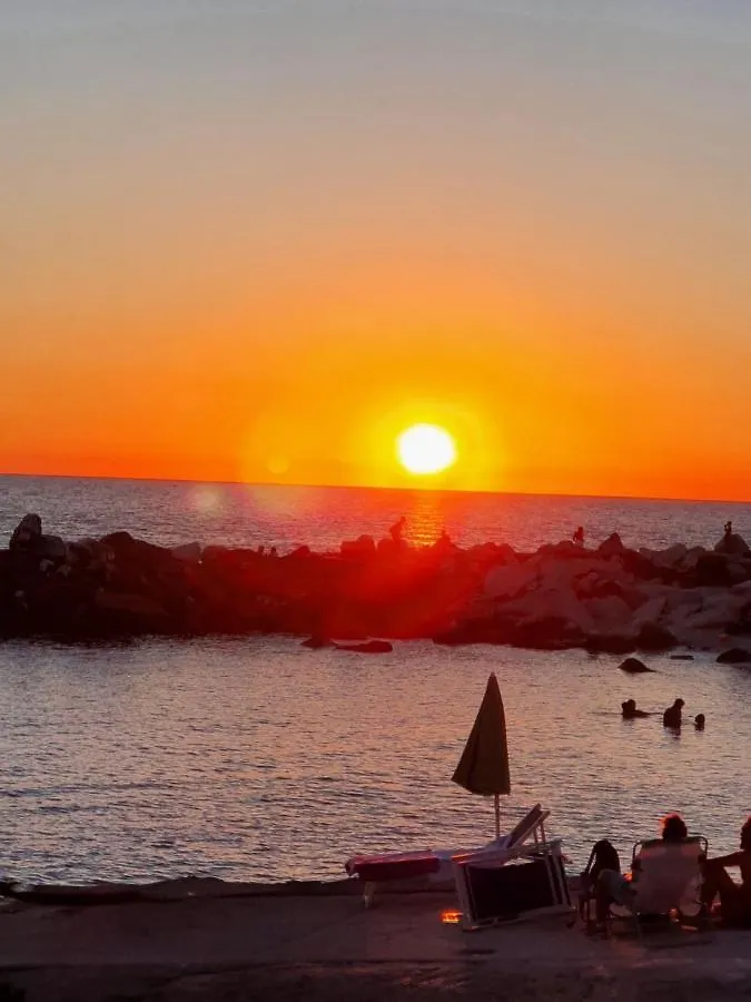 Campsite Chalet 4 Or 6 Persons Toscana Viareggio Camping Bosco Verde Italie Torre del Lago Puccini