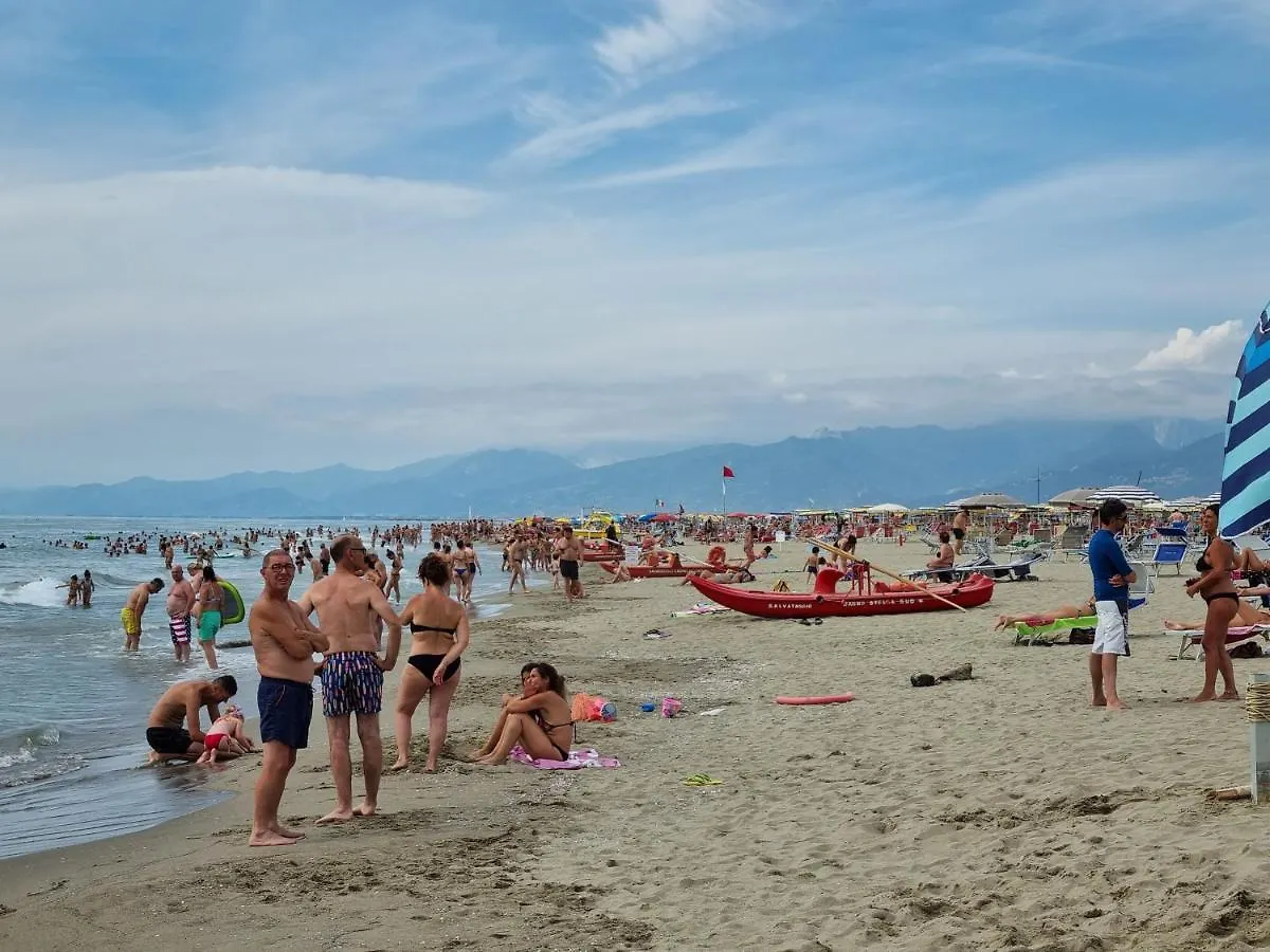 Chalet 4 Or 6 Persons Toscana Viareggio Camping Bosco Verde Italie Torre del Lago Puccini Campsite