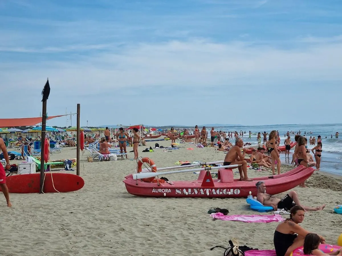 Campsite Chalet 4 Or 6 Persons Toscana Viareggio Camping Bosco Verde Italie Torre del Lago Puccini