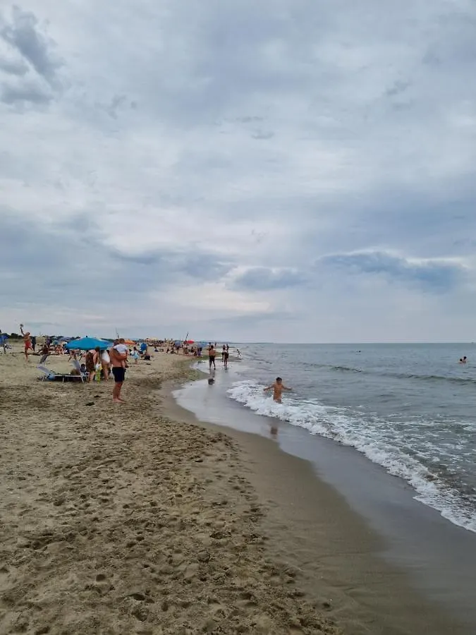 Campsite Chalet 4 Or 6 Persons Toscana Viareggio Camping Bosco Verde Italie Torre del Lago Puccini