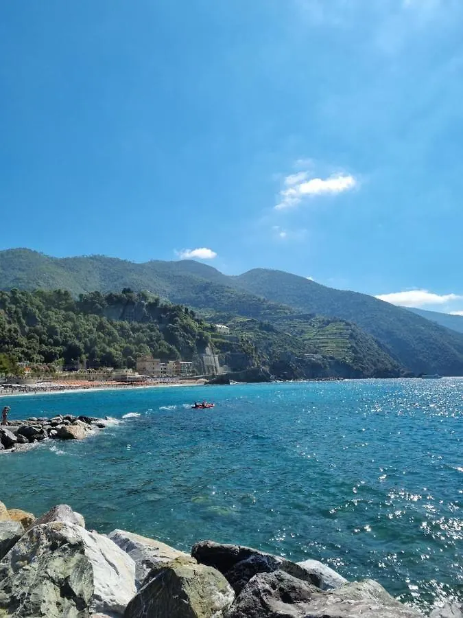 Chalet 4 Or 6 Persons Toscana Viareggio Camping Bosco Verde Italie Torre del Lago Puccini