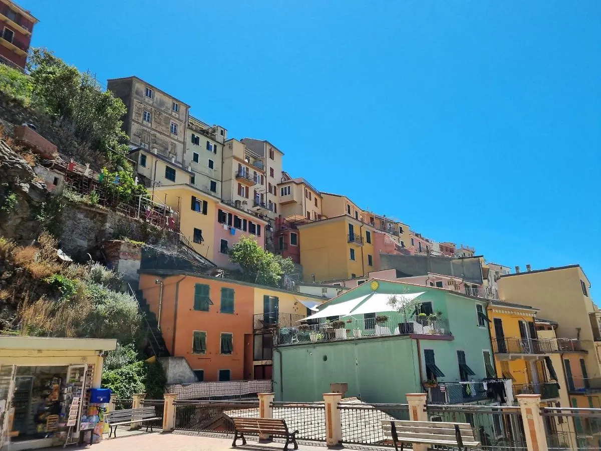 Chalet 4 Or 6 Persons Toscana Viareggio Camping Bosco Verde Italie Torre del Lago Puccini Campsite