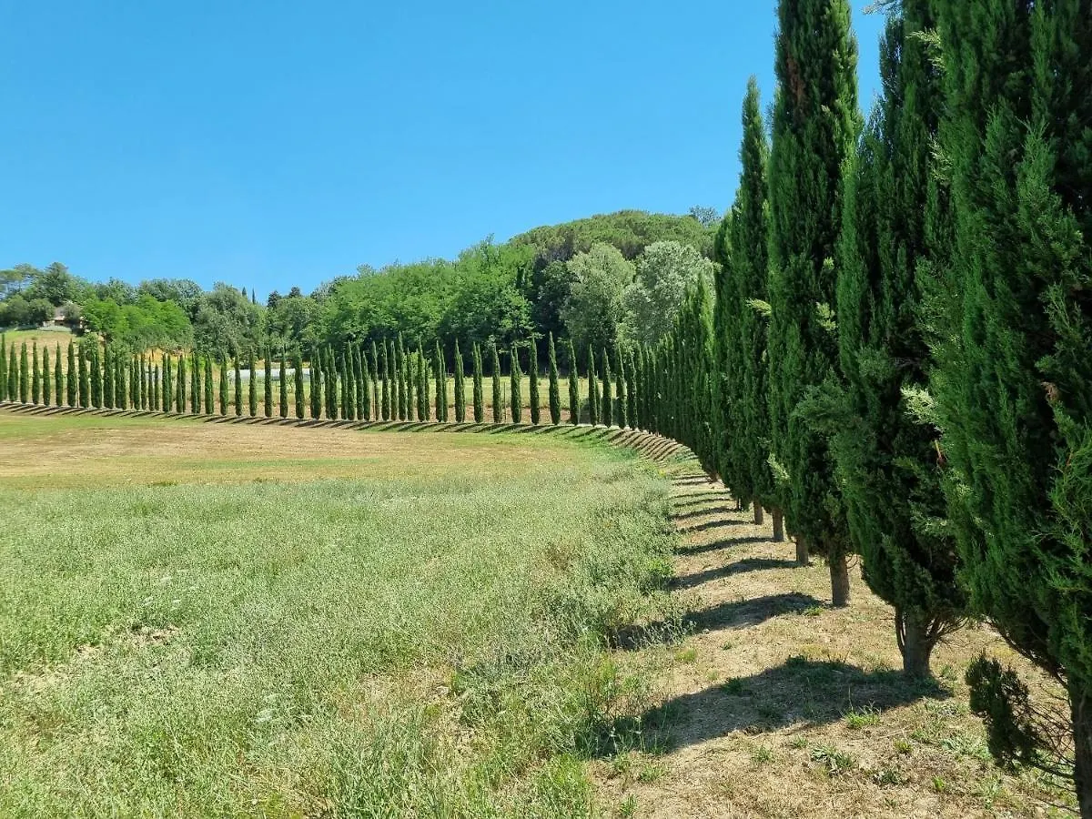 Chalet 4 Or 6 Persons Toscana Viareggio Camping Bosco Verde Italie Torre del Lago Puccini