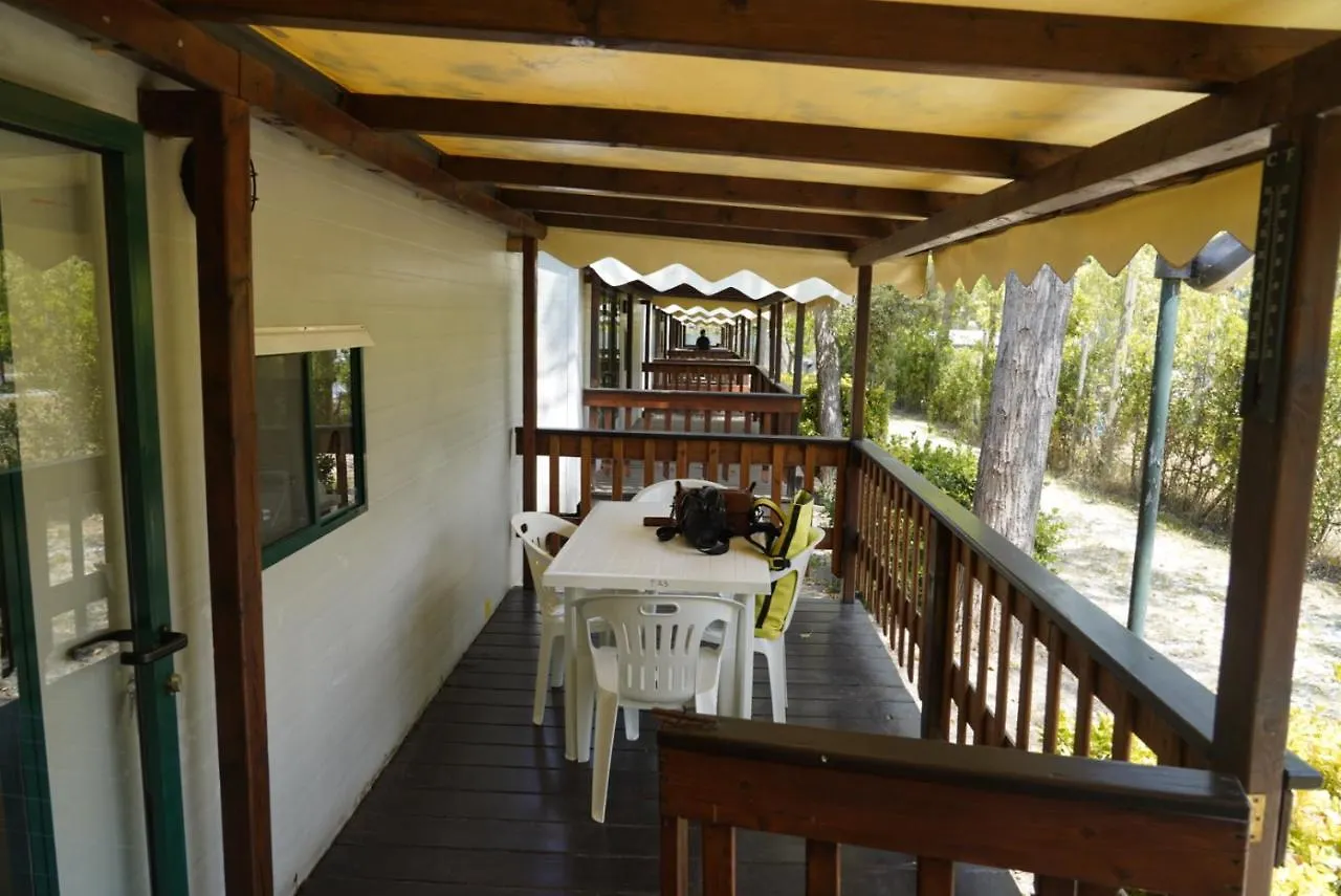Chalet 4 Or 6 Persons Toscana Viareggio Camping Bosco Verde Italie Torre del Lago Puccini Italy